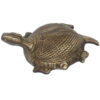 Brass Tortoise  4  Inch