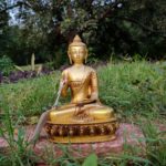 Brass Buddha Sitting 8 Inch
